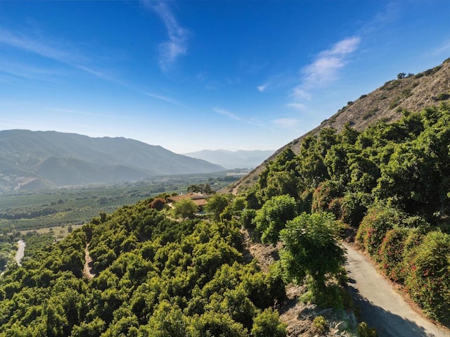 view of mountain feature