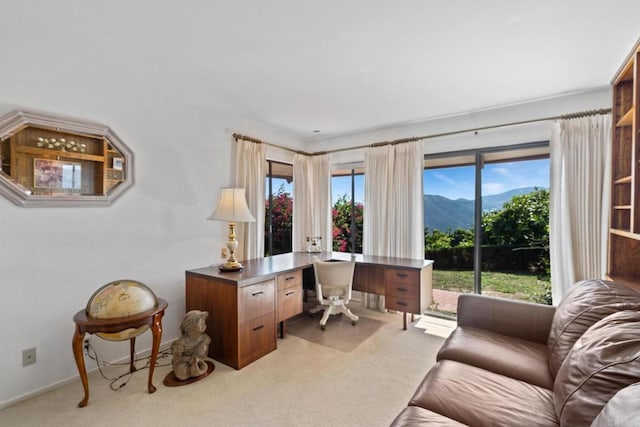 carpeted office with a mountain view