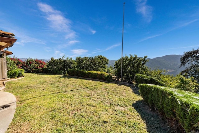 view of yard with a mountain view