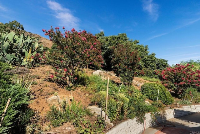 15063 Adams Dr, Pauma Valley, CA 92061 - photo 40