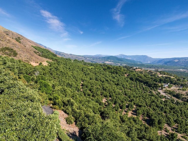 15063 Adams Dr, Pauma Valley, CA 92061 - photo 47