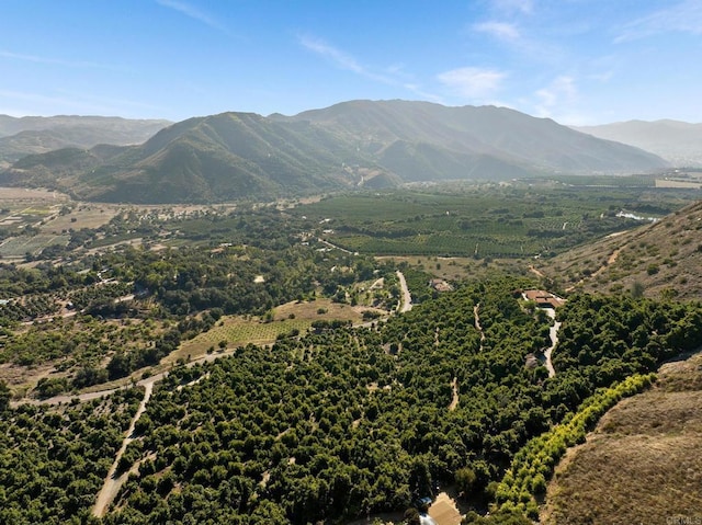 15063 Adams Dr, Pauma Valley, CA 92061 - photo 45