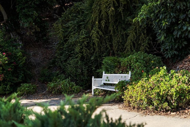 15063 Adams Dr, Pauma Valley, CA 92061 - photo 41