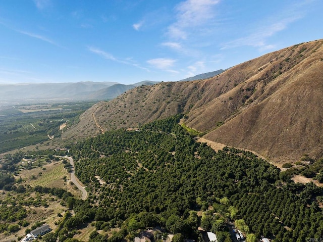 15063 Adams Dr, Pauma Valley, CA 92061 - photo 51