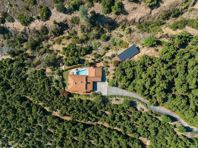 15063 Adams Dr, Pauma Valley, CA 92061 - photo 6