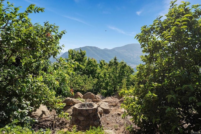 15063 Adams Dr, Pauma Valley, CA 92061 - photo 37