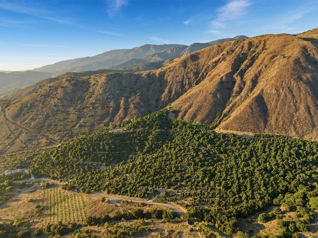 15063 Adams Dr, Pauma Valley, CA 92061 - photo 52