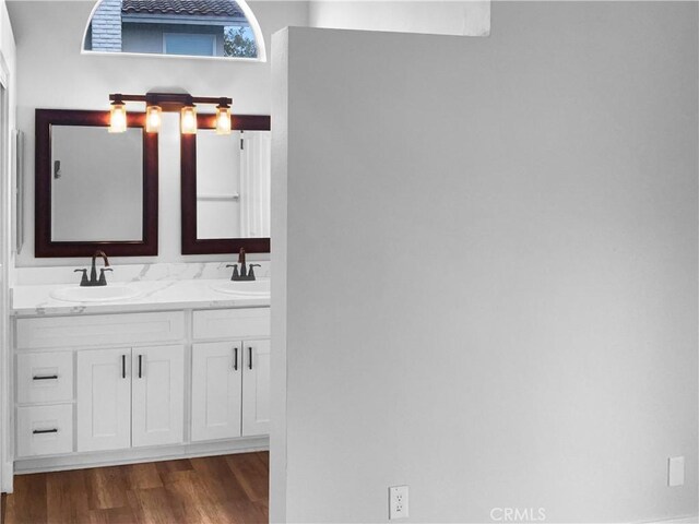 bathroom with vanity and wood-type flooring