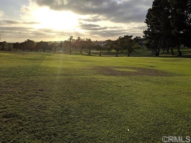 view of property's community with a lawn