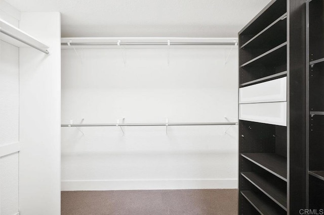 spacious closet with carpet floors