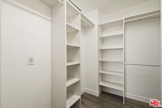 spacious closet featuring dark wood-type flooring