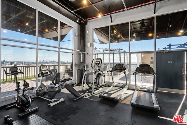 workout area featuring expansive windows