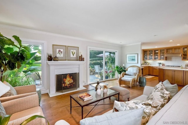 living room with light hardwood / wood-style flooring and ornamental molding