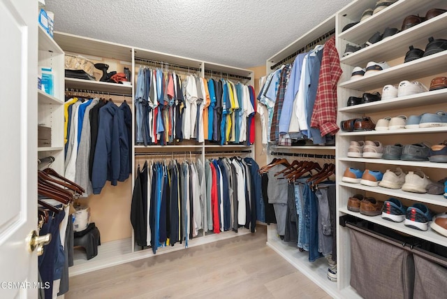 walk in closet with light wood-type flooring