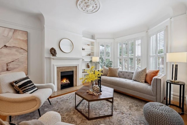 living room with a premium fireplace and light wood-type flooring