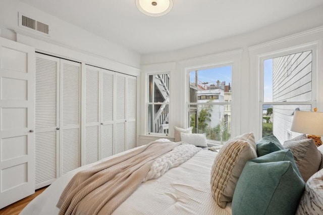 bedroom featuring hardwood / wood-style flooring and two closets