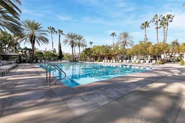 view of pool featuring a patio area