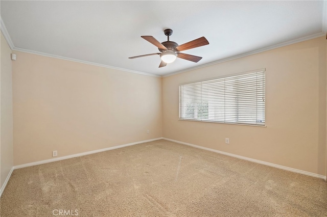 spare room featuring ornamental molding, ceiling fan, and carpet flooring