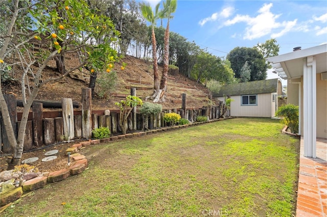 view of yard featuring a shed