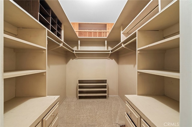 spacious closet with carpet