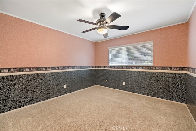 unfurnished room featuring ornamental molding, carpet flooring, and ceiling fan