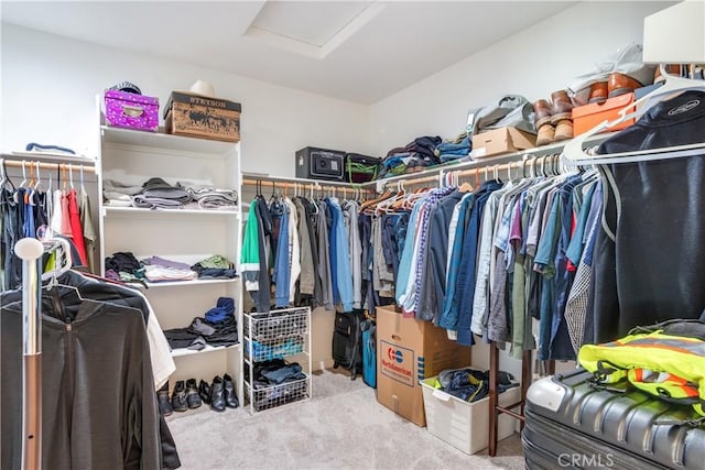 walk in closet with carpet flooring