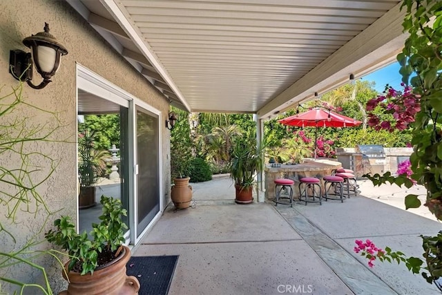 view of patio / terrace with exterior kitchen and grilling area