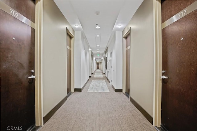 hallway with carpet flooring