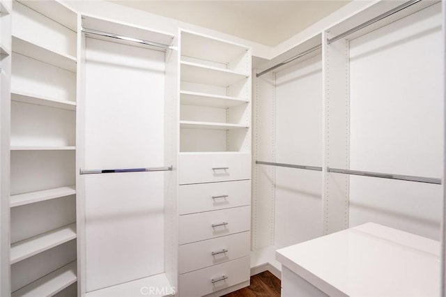 spacious closet with dark wood-type flooring