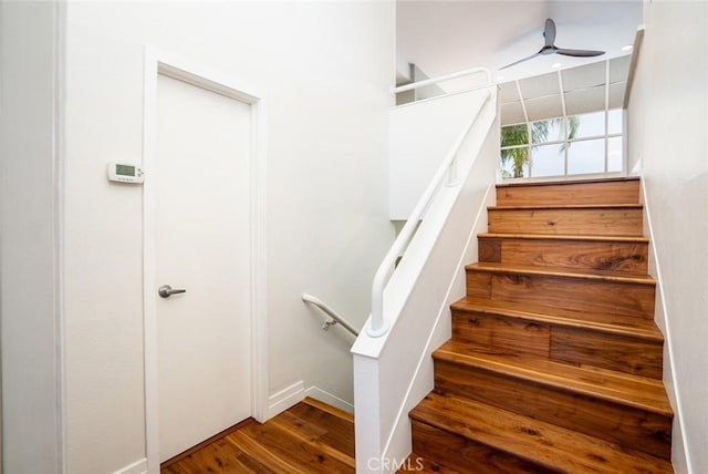 stairway featuring hardwood / wood-style flooring and ceiling fan