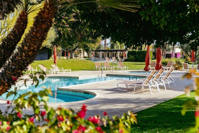 view of swimming pool featuring a pergola, a patio area, and a lawn