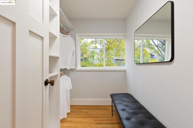 spacious closet featuring light hardwood / wood-style flooring