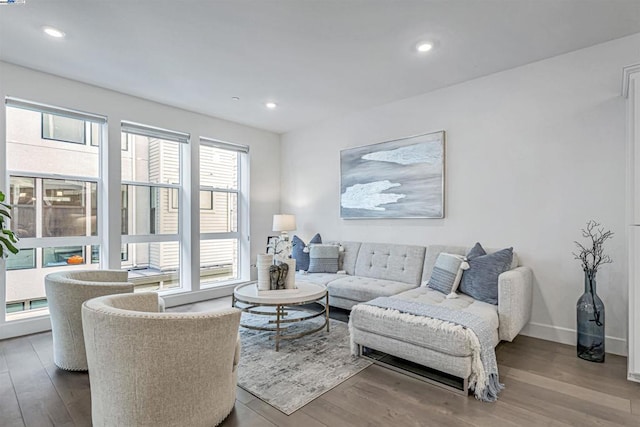 living room with hardwood / wood-style flooring