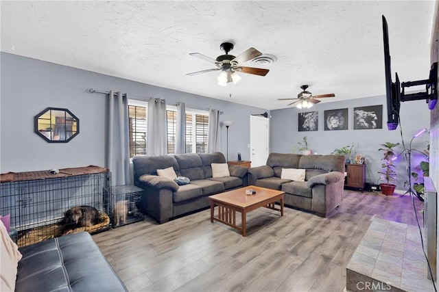 living room featuring hardwood / wood-style flooring and a textured ceiling