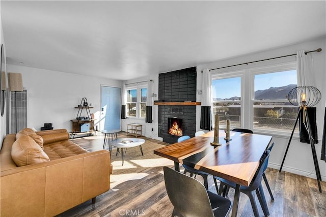 interior space featuring hardwood / wood-style flooring and a fireplace