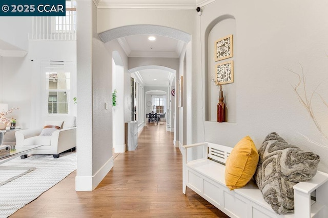 hallway featuring hardwood / wood-style flooring and crown molding