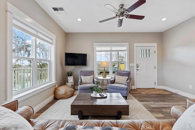 living room with ceiling fan, plenty of natural light, and light wood-type flooring