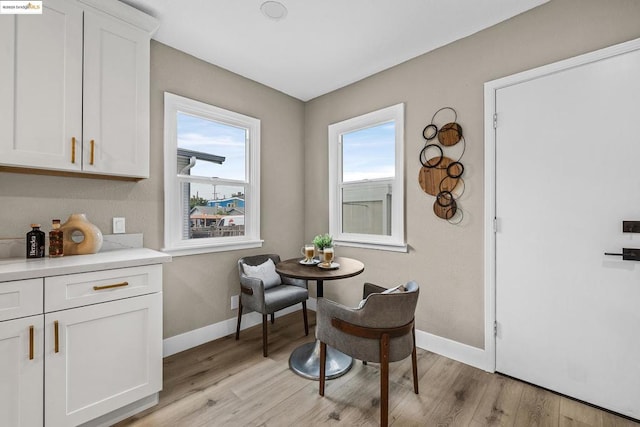 living area with light hardwood / wood-style flooring