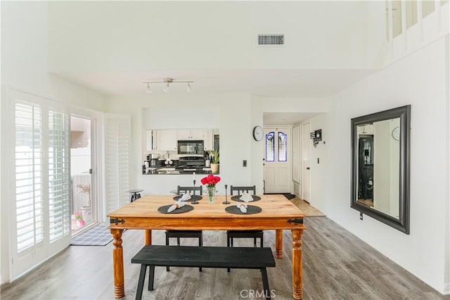 dining area with a wealth of natural light and light wood-type flooring