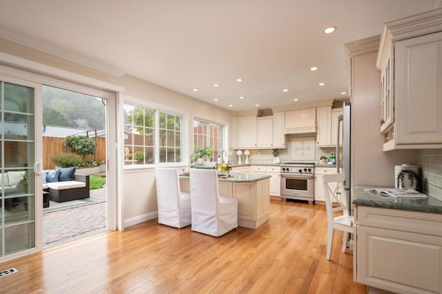 kitchen featuring tasteful backsplash, light wood-type flooring, stainless steel stove, a kitchen island, and dark stone counters