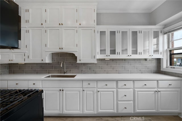 kitchen featuring white cabinetry, ornamental molding, sink, and backsplash