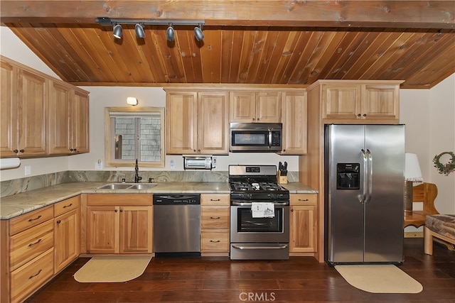 kitchen featuring dark hardwood / wood-style flooring, sink, lofted ceiling, and appliances with stainless steel finishes