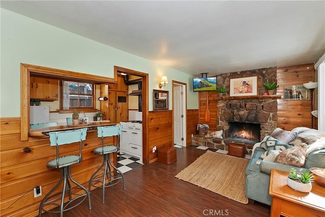 living room featuring a stone fireplace, dark wood-type flooring, and wooden walls