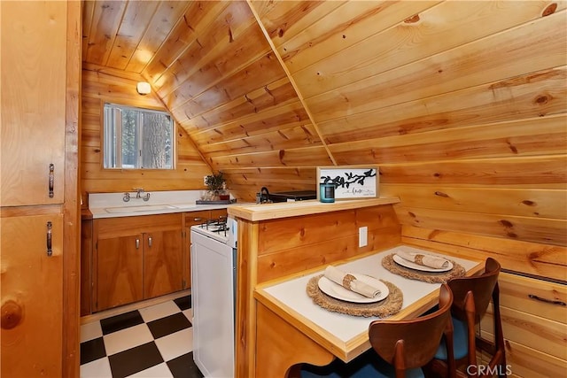 interior space with lofted ceiling, sink, wooden ceiling, and wood walls