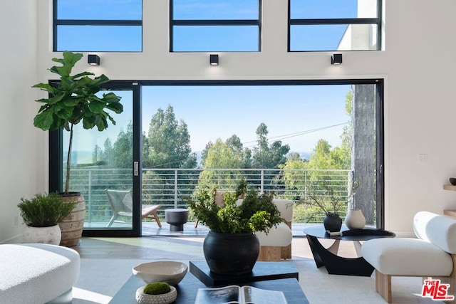 doorway to outside featuring hardwood / wood-style flooring and a towering ceiling