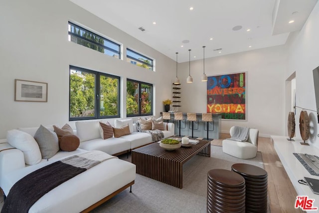 living room with a towering ceiling and light hardwood / wood-style flooring