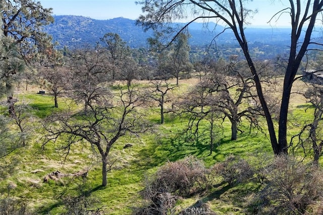 03.79AC Lilley Mountain Dr, Coarsegold, CA 93614 - photo 13