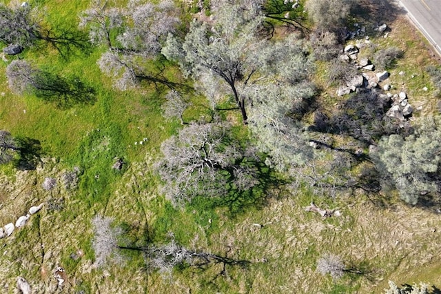03.79AC Lilley Mountain Dr, Coarsegold, CA 93614 - photo 7