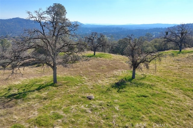 03.79AC Lilley Mountain Dr, Coarsegold, CA 93614 - photo 4