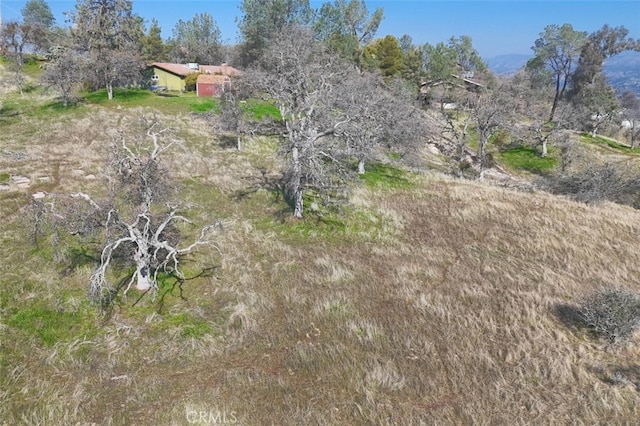 03.79AC Lilley Mountain Dr, Coarsegold, CA 93614 - photo 8
